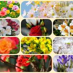 Muốn thành lập doanh nghiệp tại An Giang