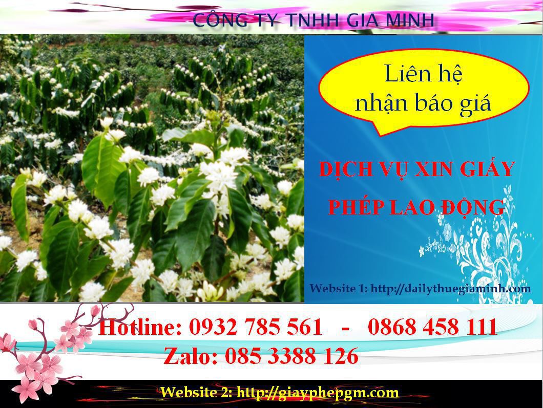Dịch vụ xin giấy phép lao động An Giang 5 Chi phí xin giấy phép lao động An Giang