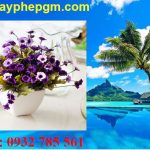 Cần xin giấy phép lao động Bắc Giang