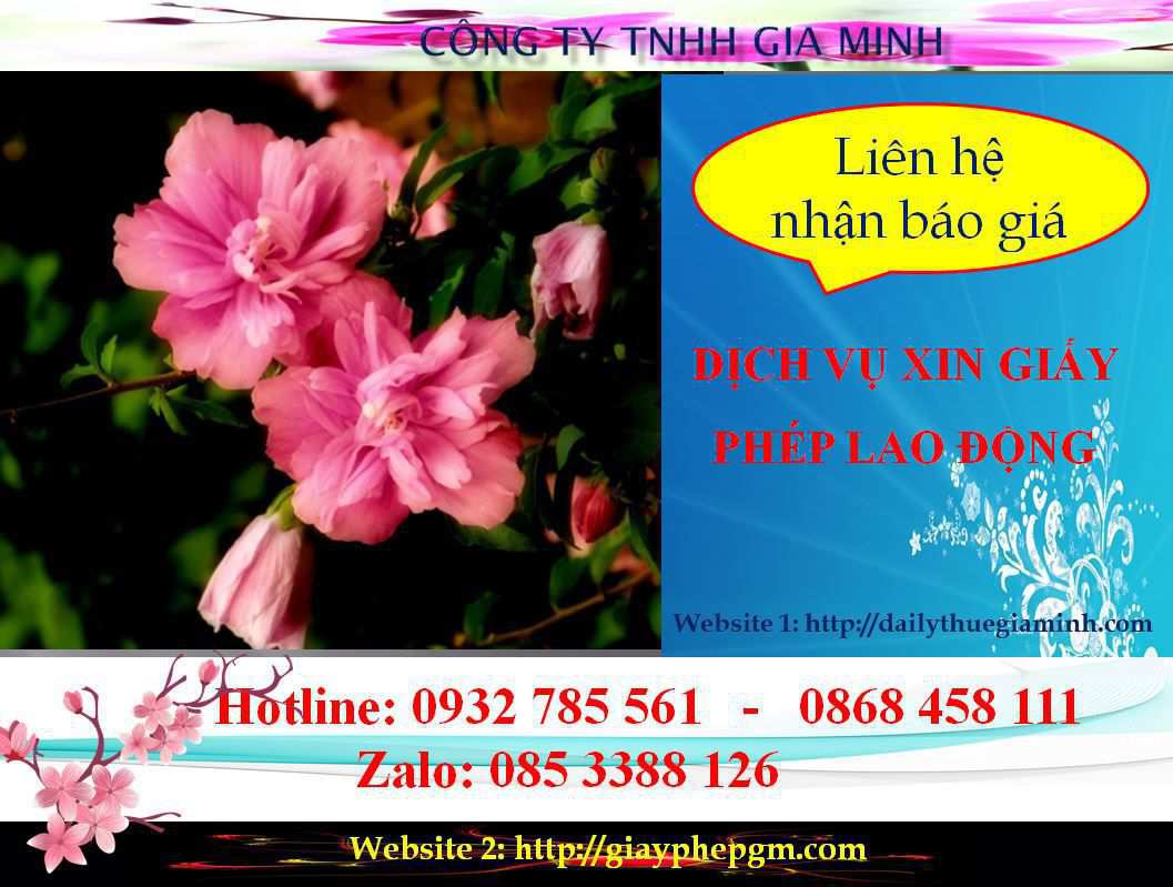 Dịch vụ xin giấy phép lao động Bắc Kạn 5 Chi phí xin giấy phép lao động Bắc Kạn