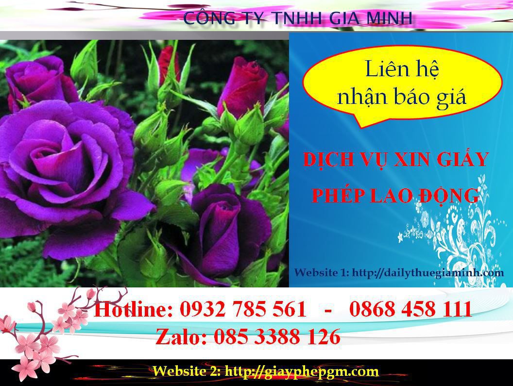 Dịch vụ xin giấy phép lao động Bạc Liêu 5 Chi phí xin giấy phép lao động Bạc Liêu