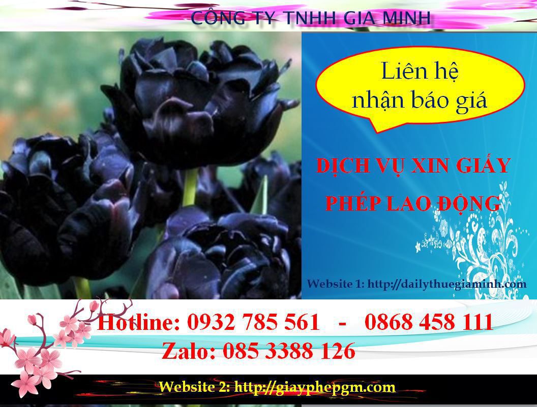 Dịch vụ xin giấy phép lao động Bắc Ninh 5 Chi phí xin giấy phép lao động Bắc Ninh