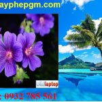 Dịch vụ xin giấy phép lao động Bắc Ninh 6 Cần xin giấy phép lao động Bắc Ninh