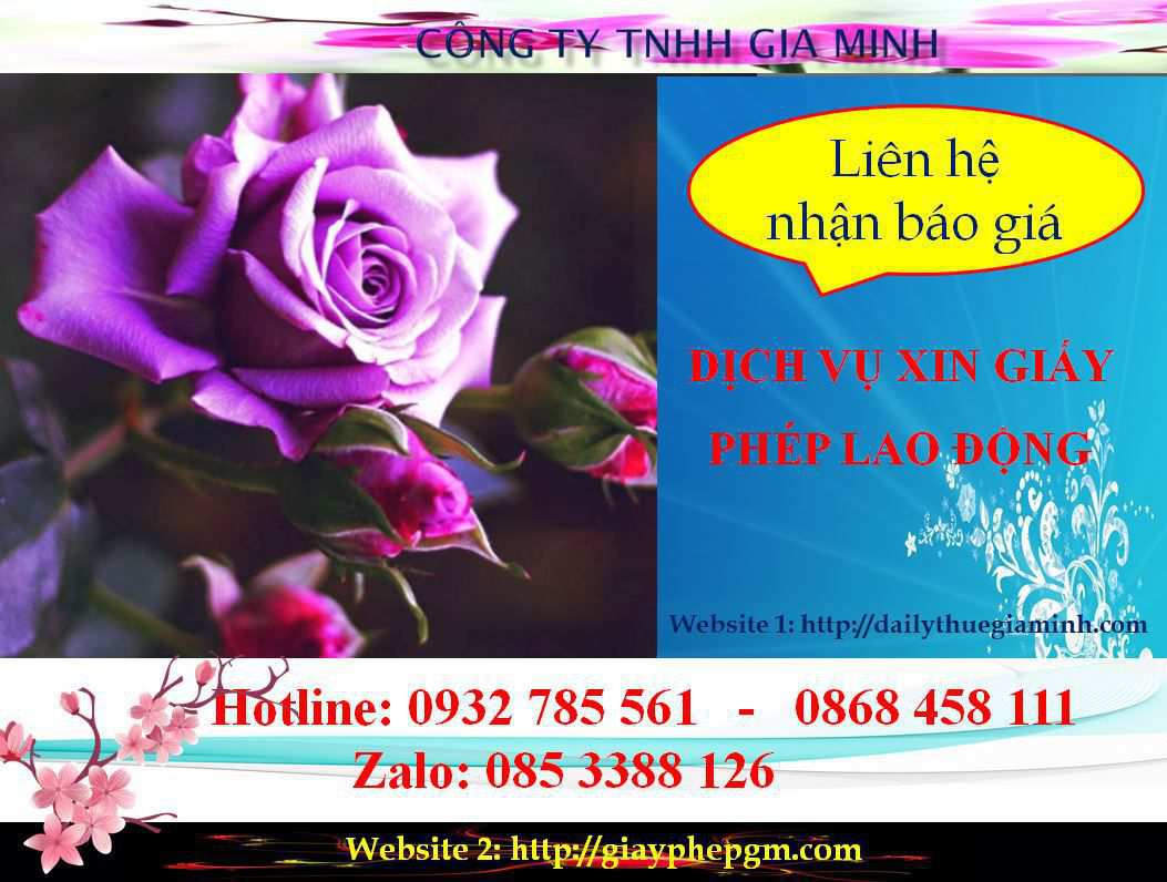Dịch vụ xin giấy phép lao động Bến Tre 5 Chi phí xin giấy phép lao động Bến Tre