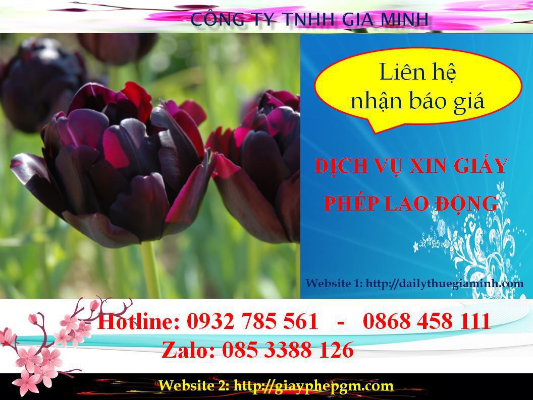 Dịch vụ xin giấy phép lao động Bình Dương - Uy tín, nhanh chóng, chuyên nghiệp 5 Chi phí xin giấy phép lao động Bình Dương