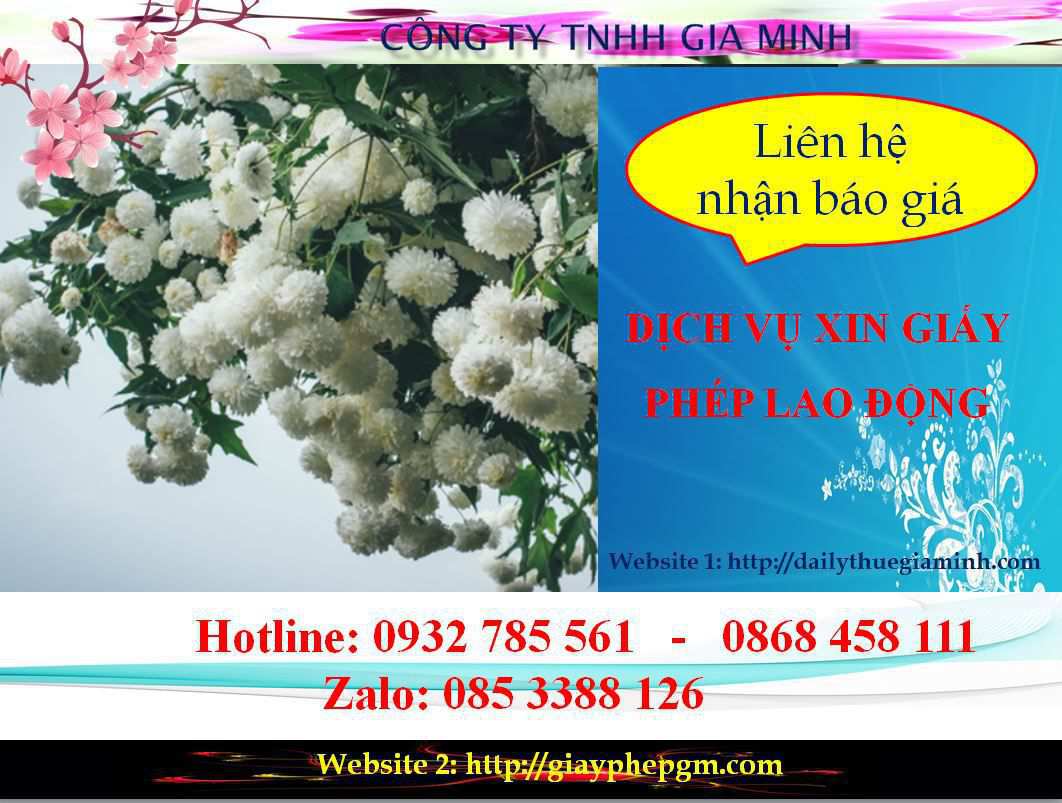 Dịch vụ xin giấy phép lao động Bình Phước 5 Chi phí xin giấy phép lao động Bình Phước