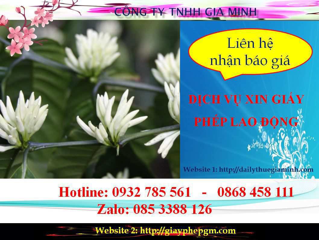 Dịch vụ xin giấy phép lao động Cà Mau 5 Chi phí xin giấy phép lao động Cà Mau