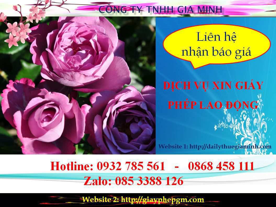 Dịch vụ xin giấy phép lao động Cần Thơ 5 Chi phí xin giấy phép lao động Cần Thơ