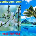 Dịch vụ xin giấy phép lao động Cần Thơ 6 Cần xin giấy phép lao động Cần Thơ