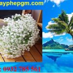 Dịch vụ xin giấy phép lao động Đà Nẵng 6 Cần xin giấy phép lao động Đà Nẵng