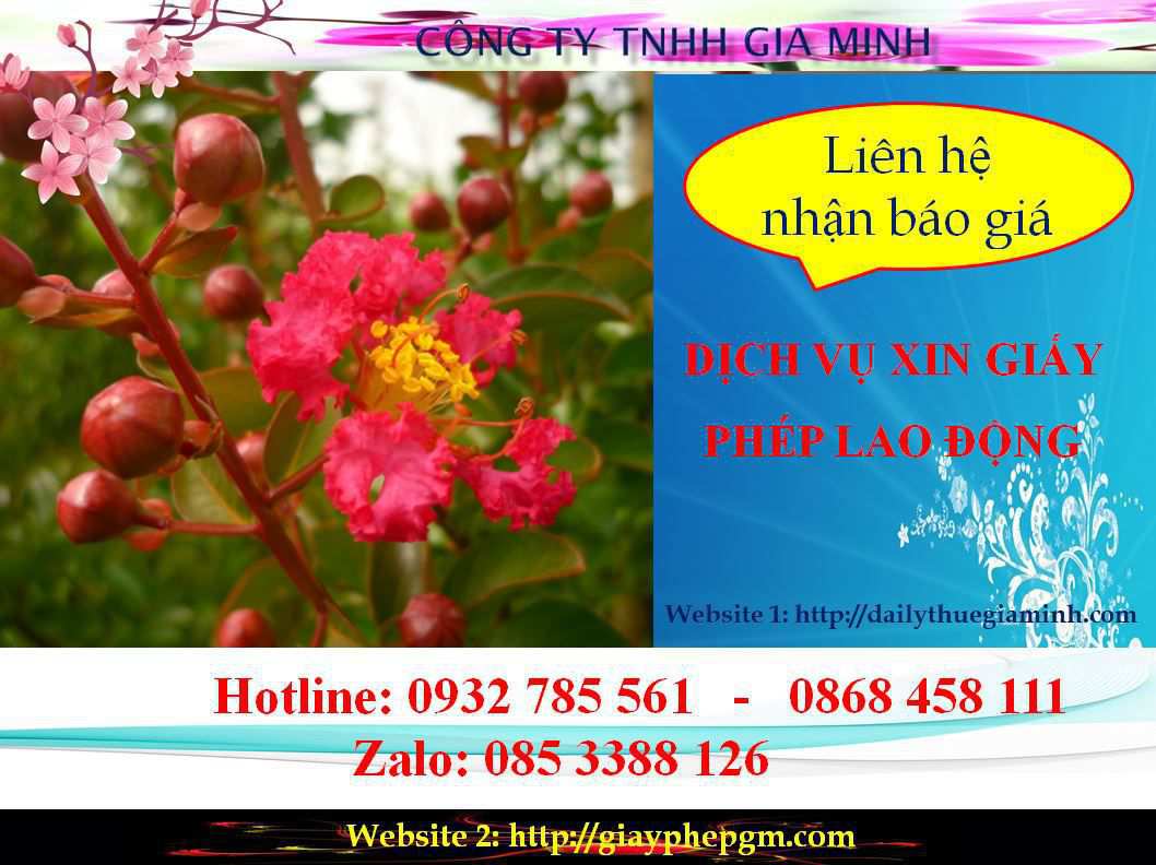 Dịch vụ xin giấy phép lao động Đắk Nông 5 Chi phí xin giấy phép lao động Đắk Nông