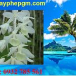 Dịch vụ xin giấy phép lao động Điện Biên 6 Cần xin giấy phép lao động Điện Biên