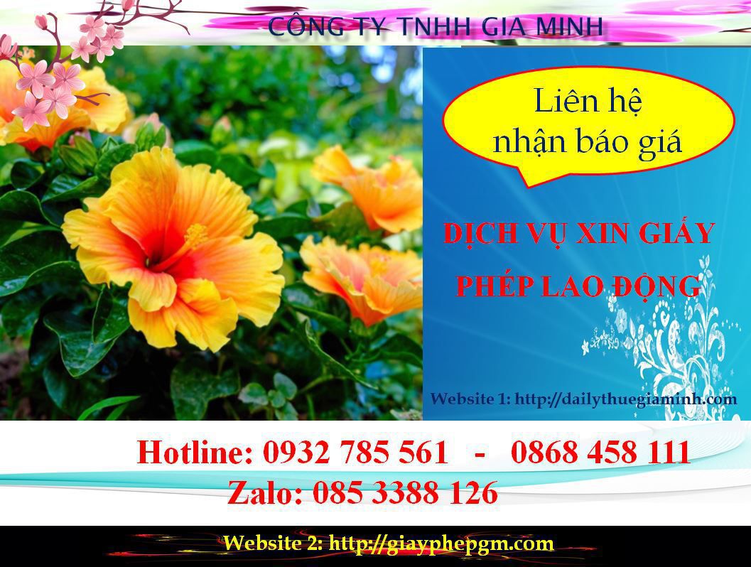 Dịch vụ xin giấy phép lao động Đồng Tháp 5 Chi phí xin giấy phép lao động Đồng Tháp