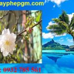 Dịch vụ xin giấy phép lao động Đồng Tháp 6 Cần xin giấy phép lao động Đồng Tháp