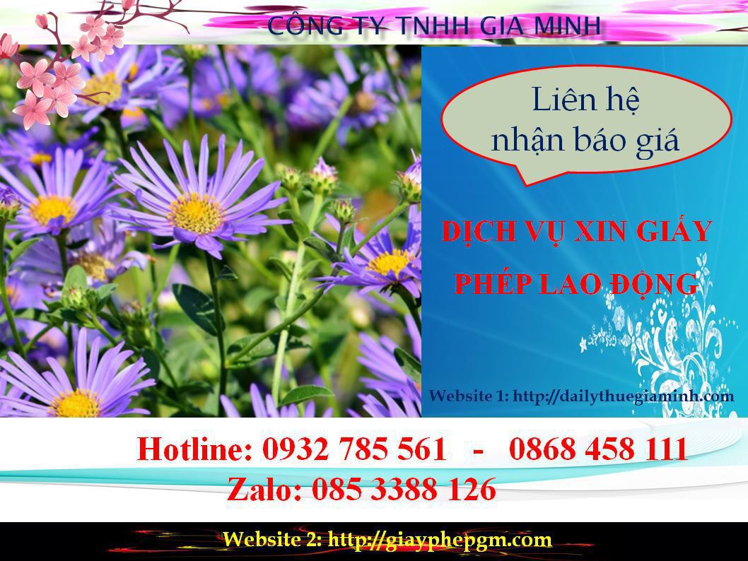 Dịch vụ xin giấy phép lao động Hải Phòng 5 Chi phí xin giấy phép lao động Hải Phòng