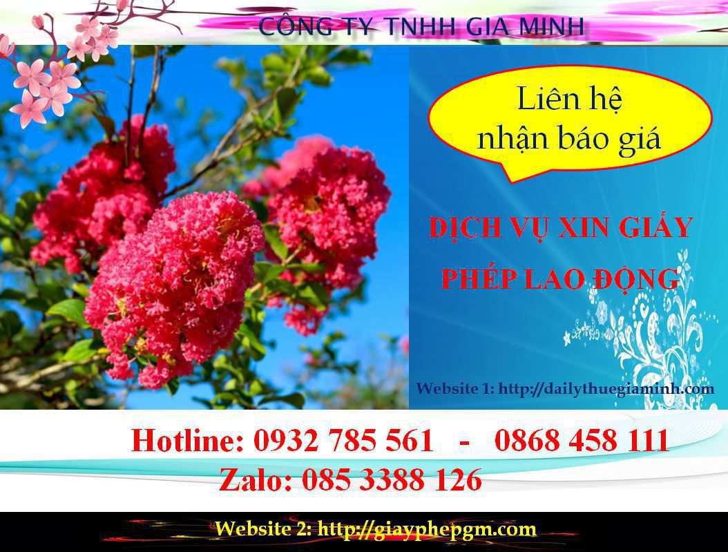 Dịch vụ xin giấy phép lao động Lâm Đồng 5 Chi phí xin giấy phép lao động Lâm Đồng