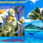 Dịch vụ xin giấy phép lao động Lâm Đồng 6 Cần xin giấy phép lao động Lâm Đồng