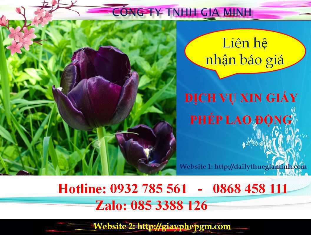 Dịch vụ xin giấy phép lao động Lạng Sơn 5 Chi phí xin giấy phép lao động Lạng Sơn