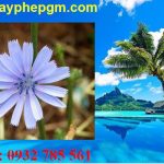 Dịch vụ xin giấy phép lao động Lạng Sơn 6 Cần xin giấy phép lao động Lạng Sơn