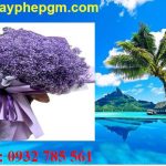 Dịch vụ xin giấy phép lao động Lào Cai 6 Cần xin giấy phép lao động Lào Cai