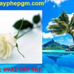 Dịch vụ xin giấy phép lao động Quảng Nam 6 Cần xin giấy phép lao động Quảng Nam