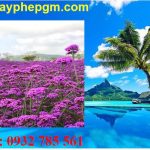 Dịch vụ xin giấy phép lao động Tuyên Quang 6 Cần xin giấy phép lao động Tuyên Quang