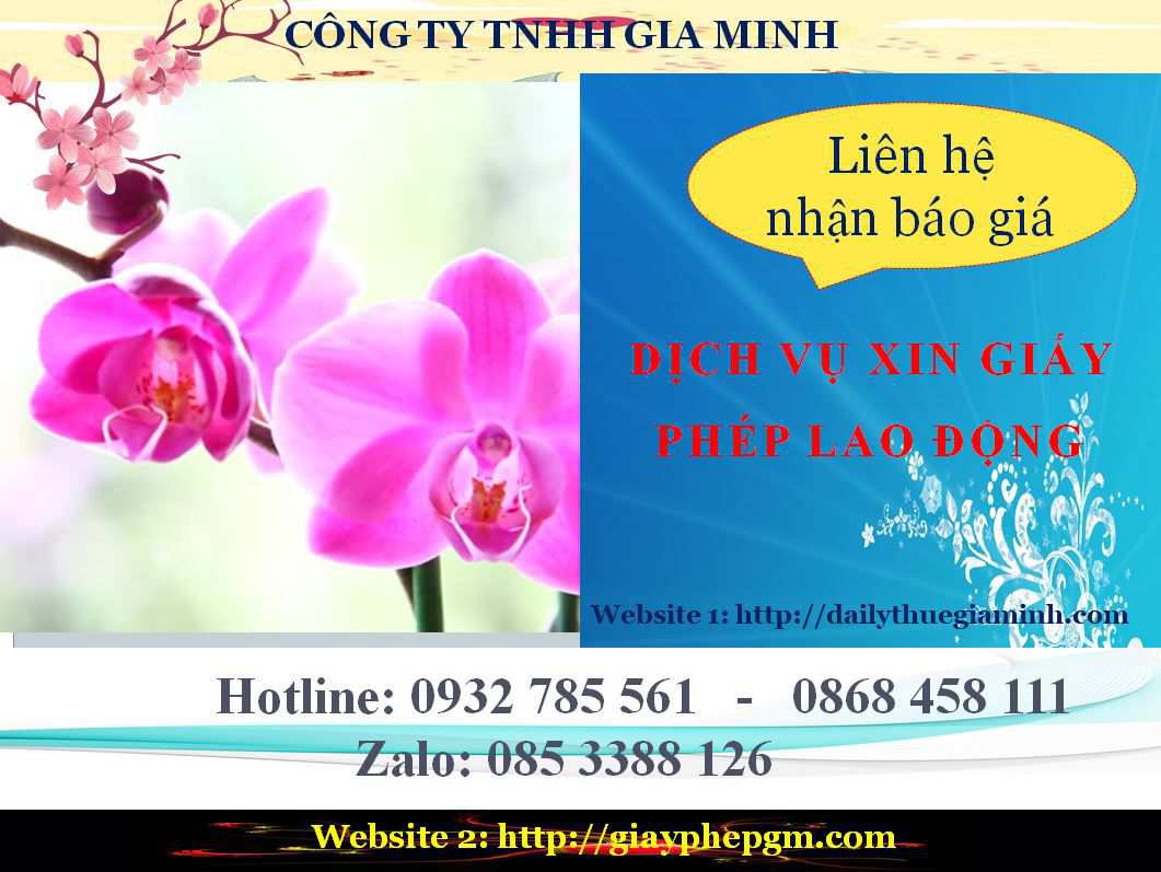Dịch vụ xin giấy phép lao động Tuyên Quang 5 Chi phí xin giấy phép lao động Tuyên Quang