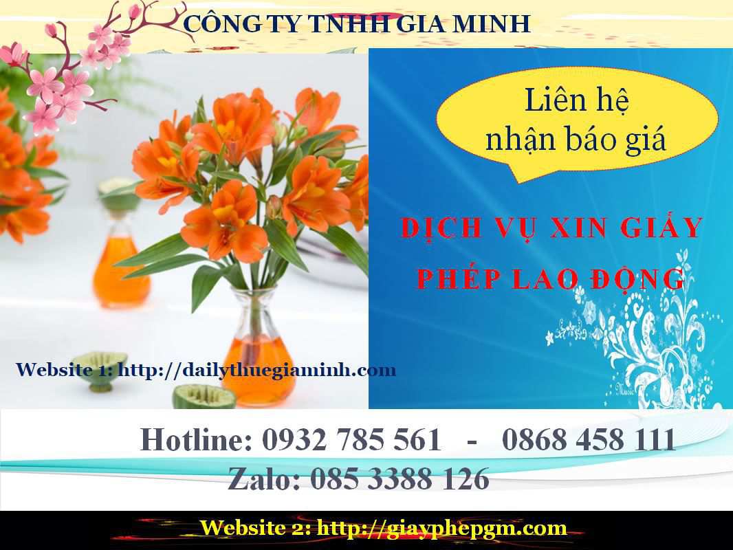 Dịch vụ xin giấy phép lao động Vĩnh Phúc 5 Chi phí xin giấy phép lao động Vĩnh Phúc