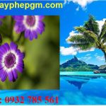 Dịch vụ xin giấy phép lao động Yên Bái 6 Cần xin giấy phép lao động Yên Bái