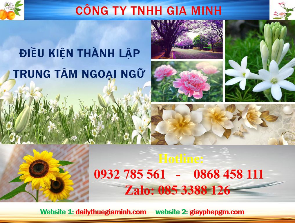 Điều kiện thành lập trung tâm ngoại ngữ Cần Thơ 4 Điều kiện thành lập trung tâm ngoại ngữ