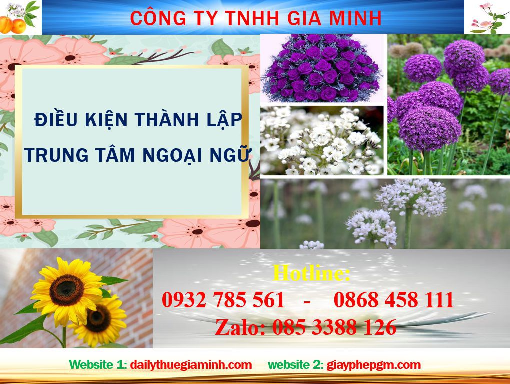 Điều kiện thành lập trung tâm ngoại ngữ Đà Nẵng 4 Điều kiện thành lập trung tâm ngoại ngữ