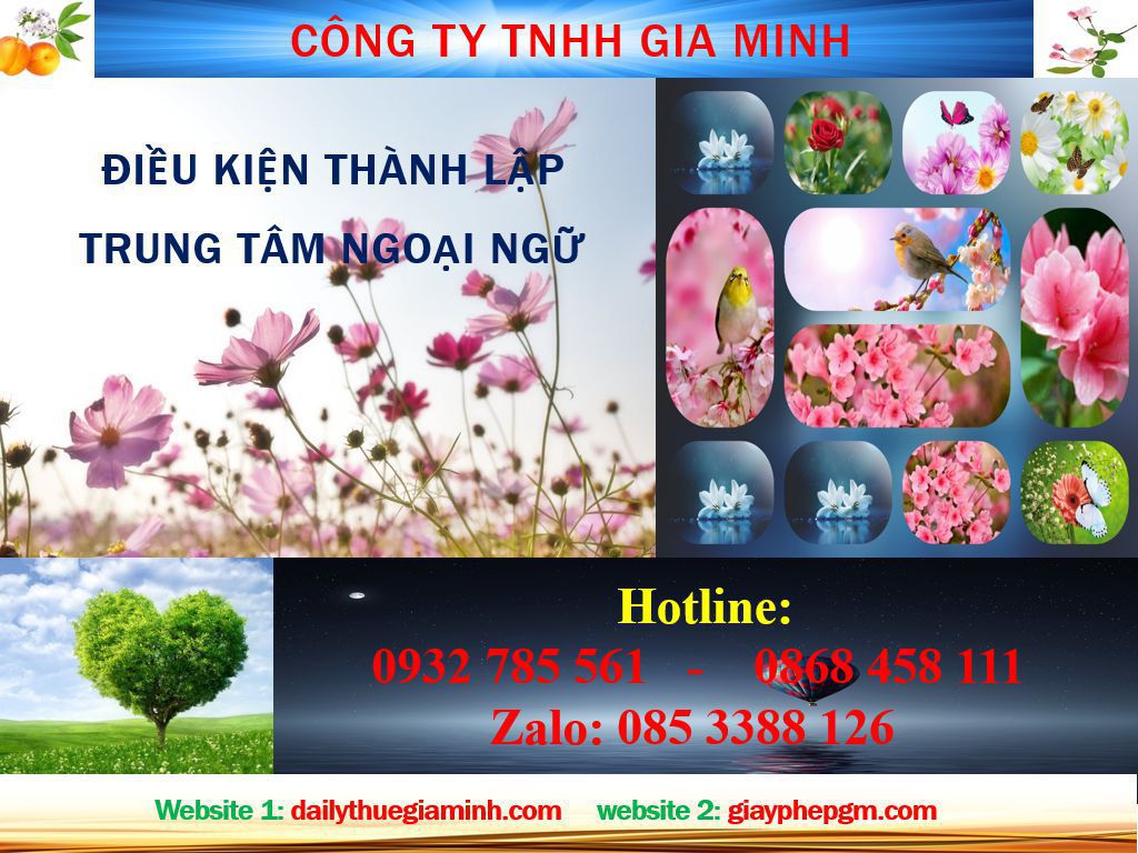Điều kiện thành lập trung tâm ngoại ngữ Hà Giang 4 Điều kiện thành lập trung tâm ngoại ngữ