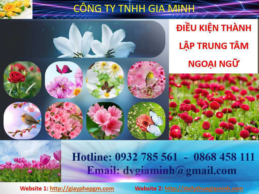 Điều kiện thành lập trung tâm ngoại ngữ Hòa Bình 4 Điều kiện thành lập trung tâm ngoại ngữ