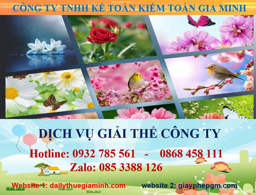 Giải thể công ty ở Bình Định 1 Dịch vụ giải thể công ở Bình Định