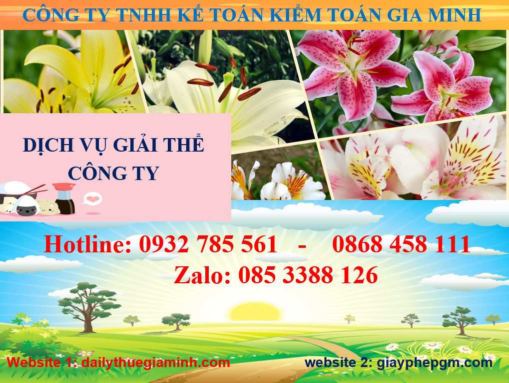 Giải thể công ty ở Huế 1 Dịch vụ giải thể công ở Huế