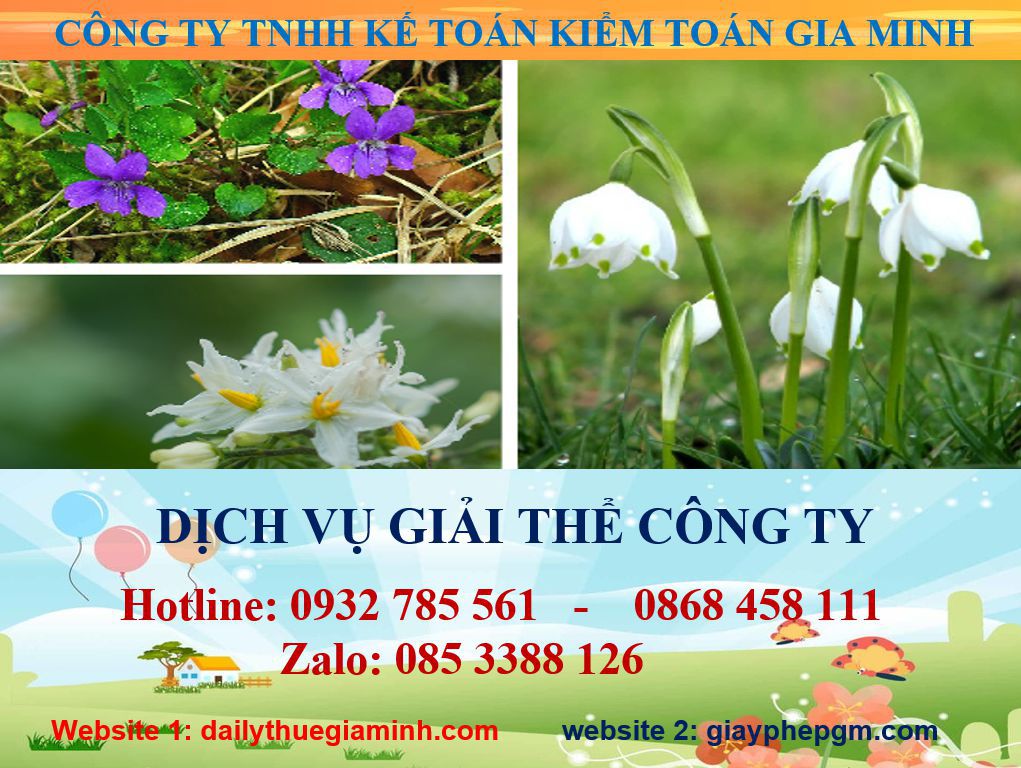 Dịch vụ giải thể công ty ở Huyện Phú Giáo