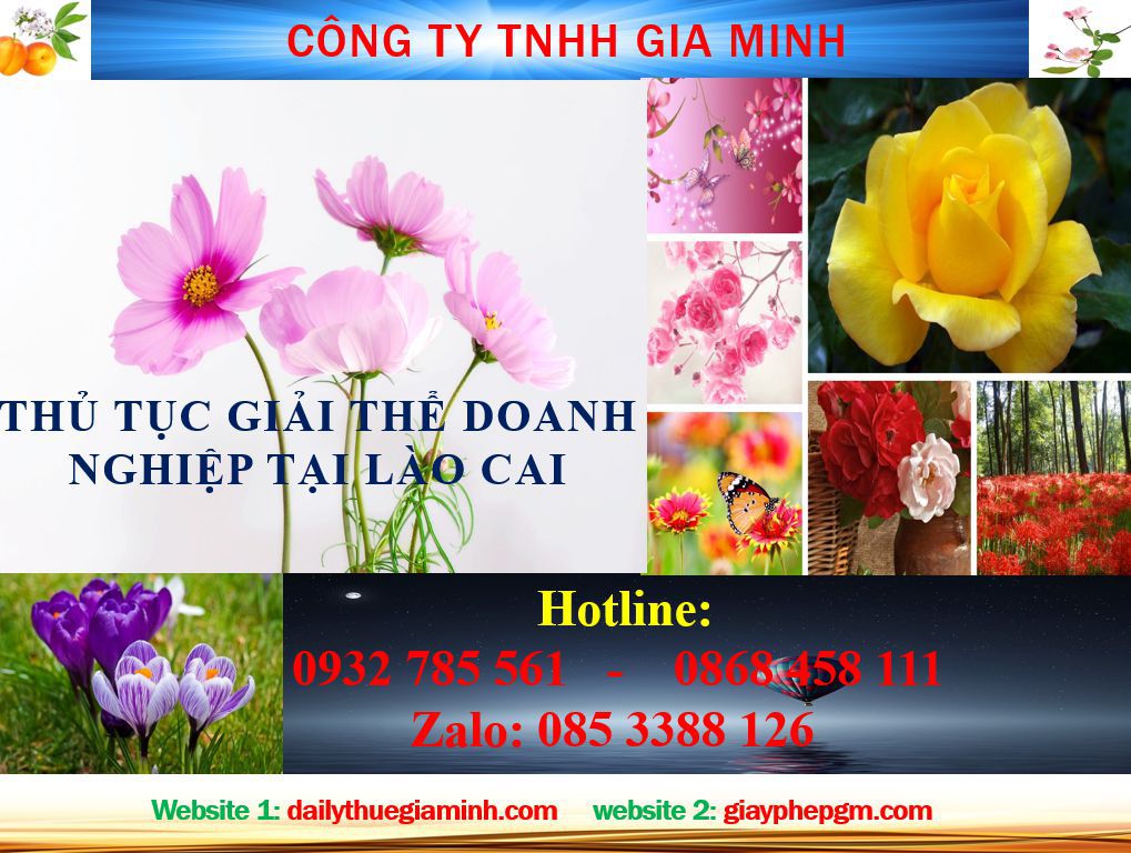 Thủ tục giải thể doanh nghiệp Lào Cai 4 Thủ tục giải thể công ty tại Lào Cai