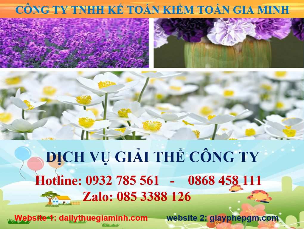 dịch vụ giải thể công ty Quận Bình Thạnh