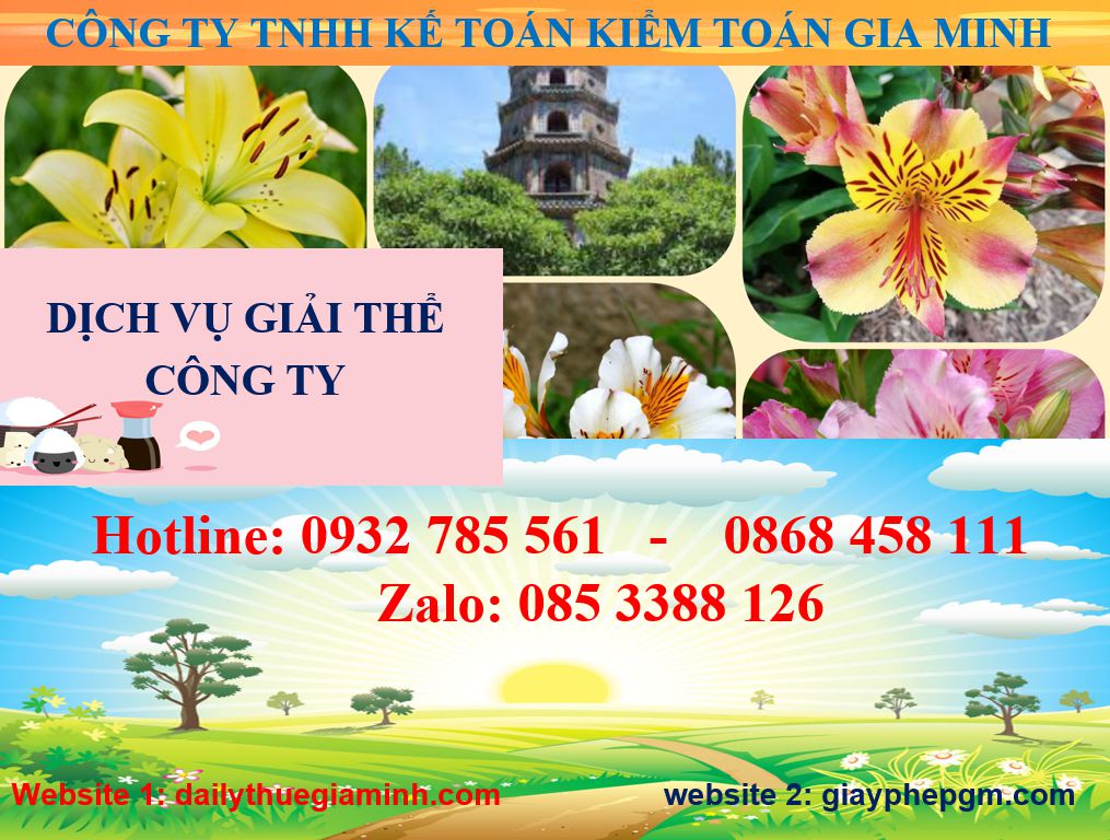 Giải thể công ty ở TPHCM 1 Dịch vụ giải thể công ở TPHCM