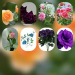 Lập công ty tại Hưng Yên 6 Cần lập công ty