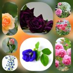 Lập công ty tại Hà Nội 6 Cần lập công ty