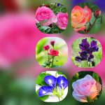 Lập công ty tại Quận 1 6 Thủ tục thành lập công ty tại Quận 1