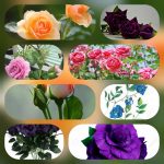 Lập công ty tại Quảng Ninh 6 Dịch vụ lập công ty tại Quảng Ninh