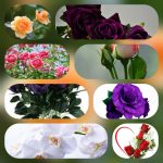 Lập công ty tại Thành Phố Hồ Chí Minh