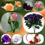 Lập công ty tại Yên Bái 6 Cần lập công ty