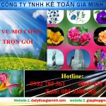 giayphepgm.com mo cong ty tron goi o dien bien 1