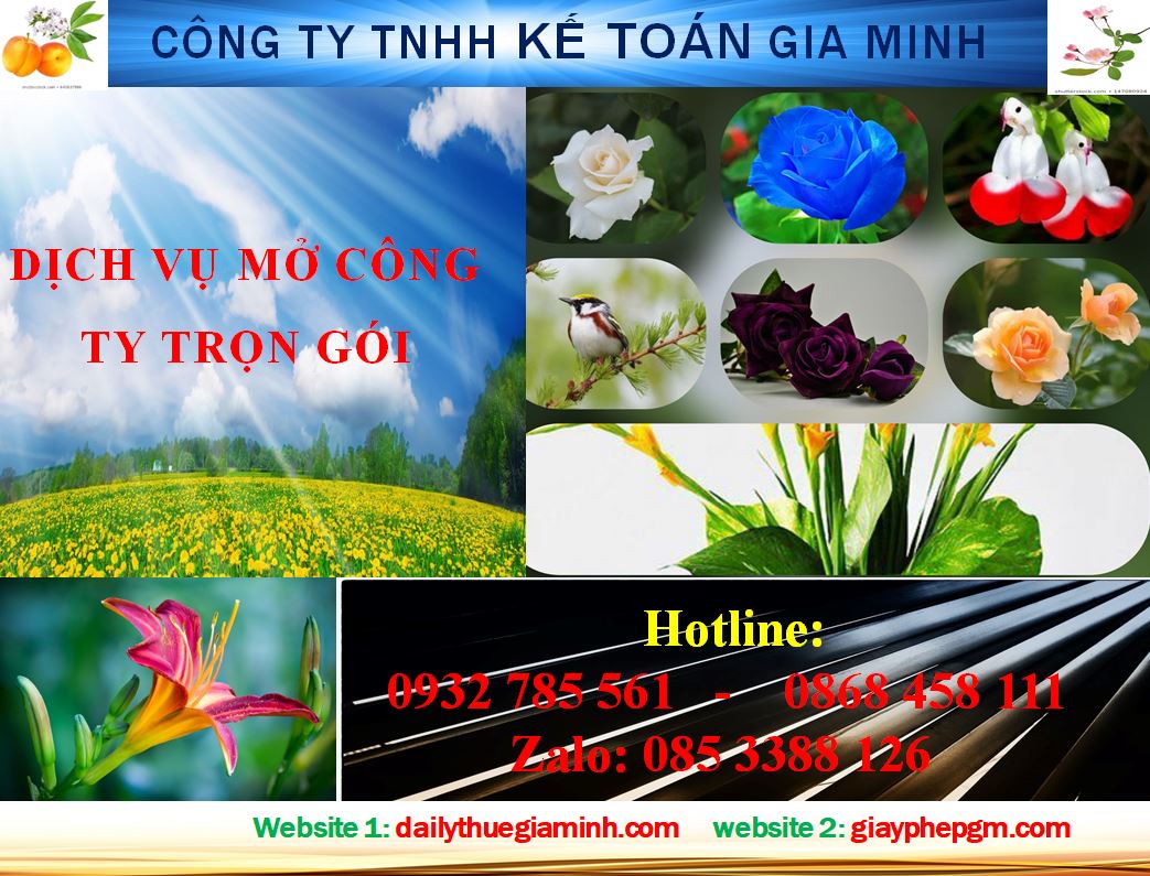 Mở công ty trọn gói ở Hưng Yên 4 Mở công ty trọn gói ở Hưng Yên