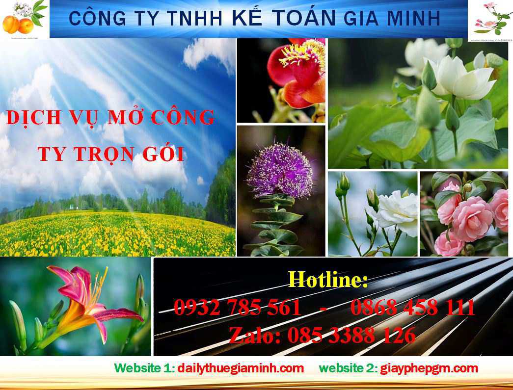 Mở công ty trọn gói ở Thái Bình 4 Mở công ty trọn gói ở Thái Bình