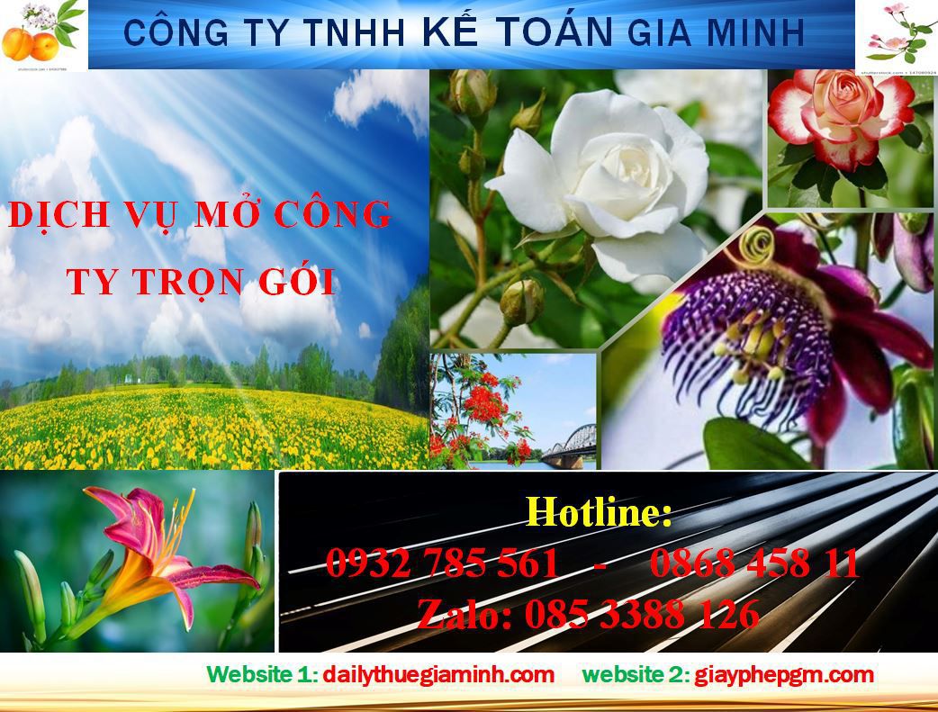 Thủ tục mở công ty trọn gói