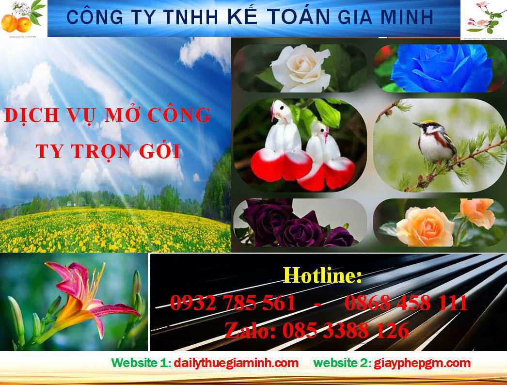 Mở công ty trọn gói ở TPHCM 4 Mở công ty trọn gói ở TPHCM